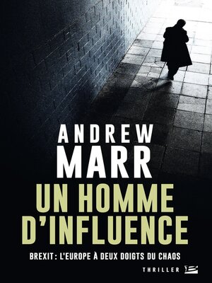 cover image of Un Homme d'influence